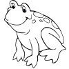 Онлайн раскраска Лягушка