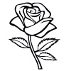 Онлайн раскраска роза