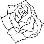 Раскраска бутон Розы