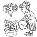 Раскраска девушка поливает цветы