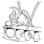 Раскраска Пиратский попугай