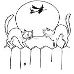 Раскраска Черный кот на заборе