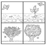 Раскраска Как растут деревья