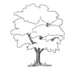 Раскраска Ветвистое дерево