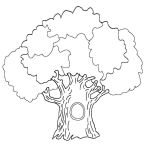 Раскраска Дерево с дуплом