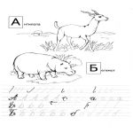 Раскраска прописи животные антилопа бегемот