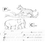 Раскраска прописи животные рысь слон