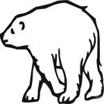 Раскраска Белый медведь