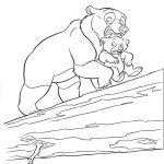 Раскраска Медведь с медвежонком