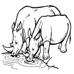 Раскраска Носорог у водопоя