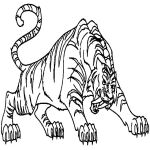 Раскраска Саблезубый тигр