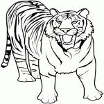 Раскраска Тигр