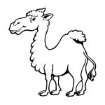 Раскраска Одногорбый верблюд